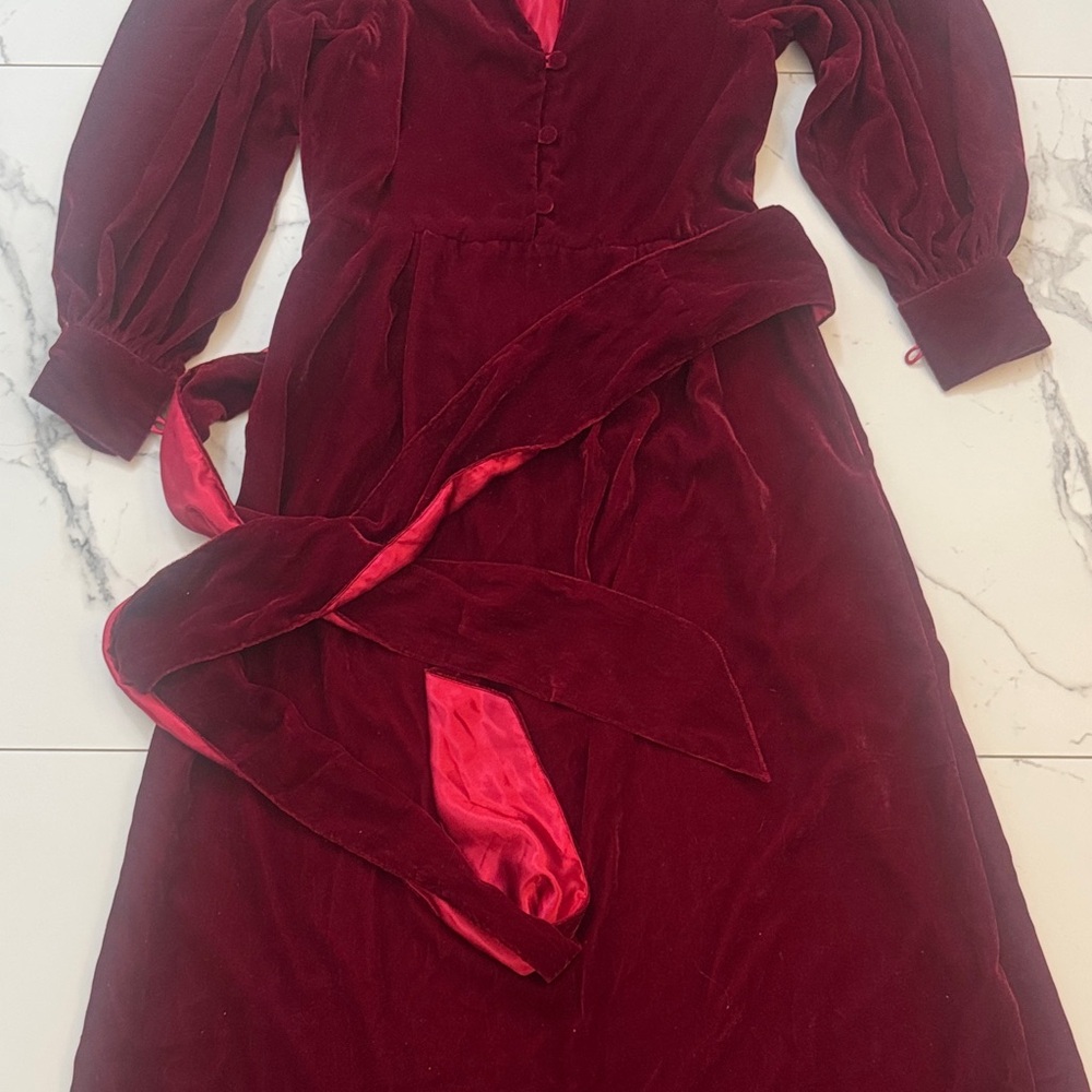 Sue Sartor Velvet Dress - Picture 4 of 4